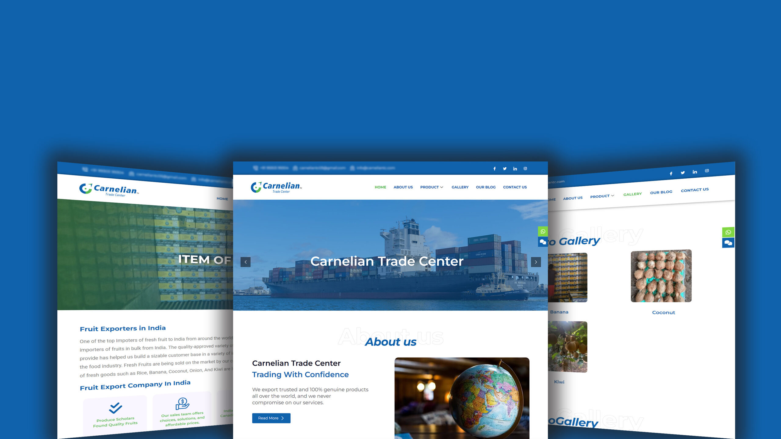 Website Design Carnelian